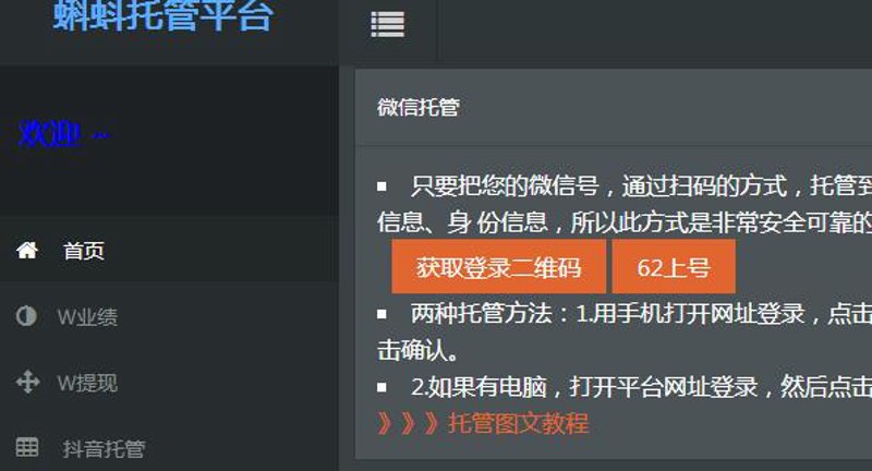 SEO站群：搭建网站帝国的艺术